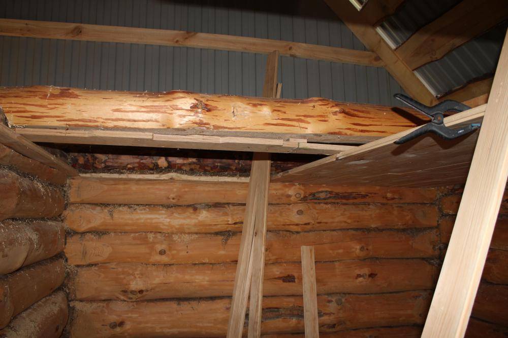 Подшивной потолок в бане: разбор конструкции и самостоятельный монтаж