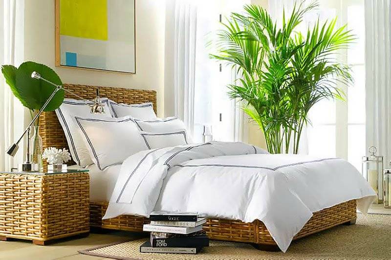 Цветы для спальни: какие полезные комнатные растения подойдут для спальни