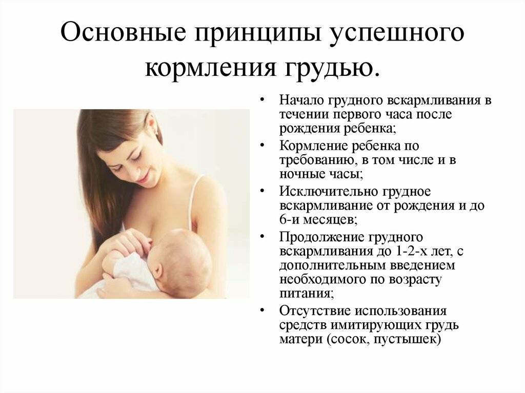 Можно ли кормящей красить. Основные принципы успешного грудного вскармливания. Рекомендации матери по грудному вскармливанию. Рекомендации по вскармливанию грудного ребенка. Грудное вскармливание новорожденных рекомендации.