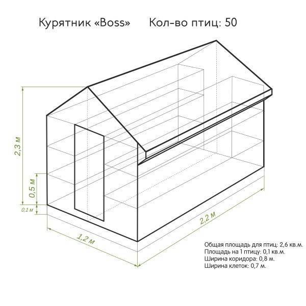 Курятник на 10 кур своими руками: чертежи, инструменты