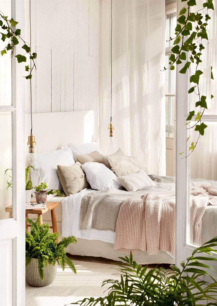 Можно ли в спальне держать комнатные растения?