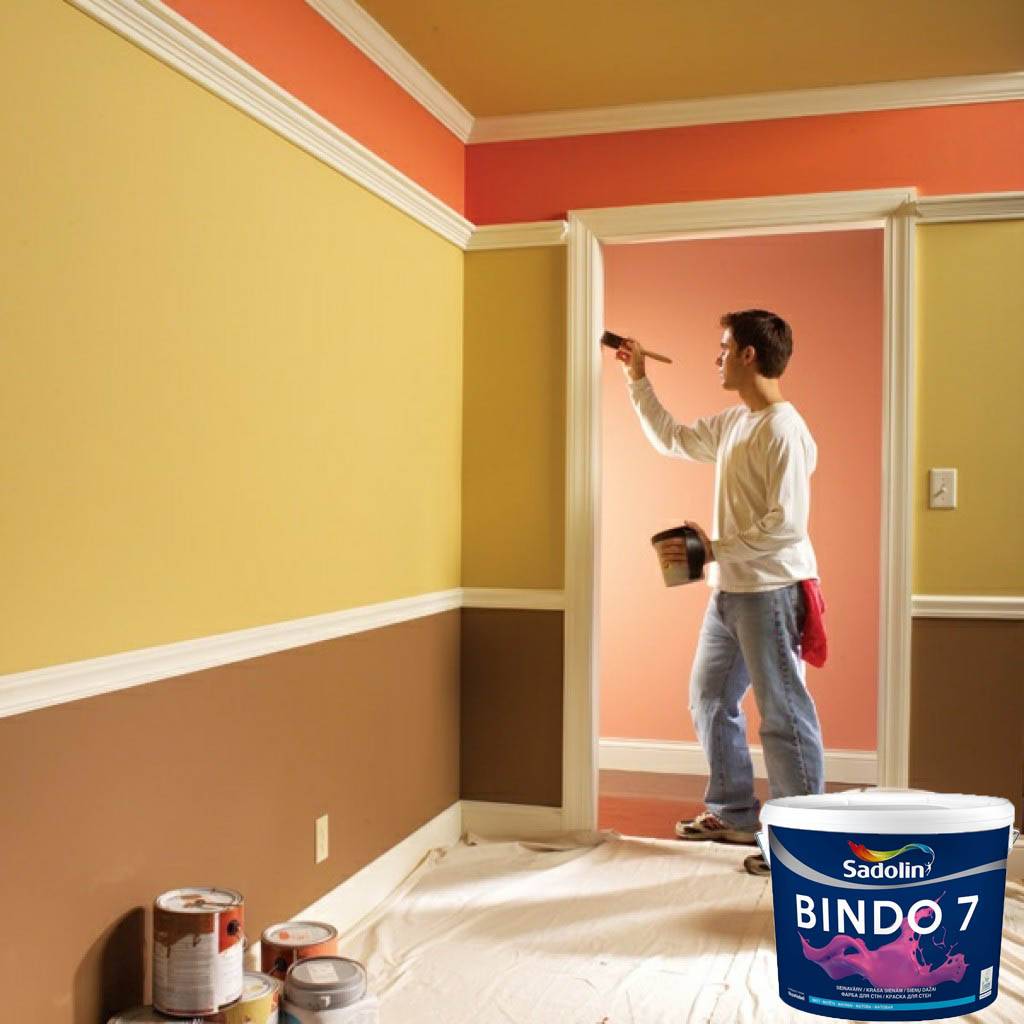 Как выбрать краску для стен и какую лучше не использовать