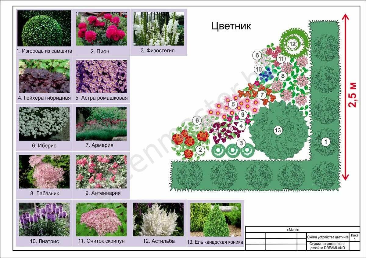 Клумба непрерывного цветения из многолетников: схемы, как сделать, фото