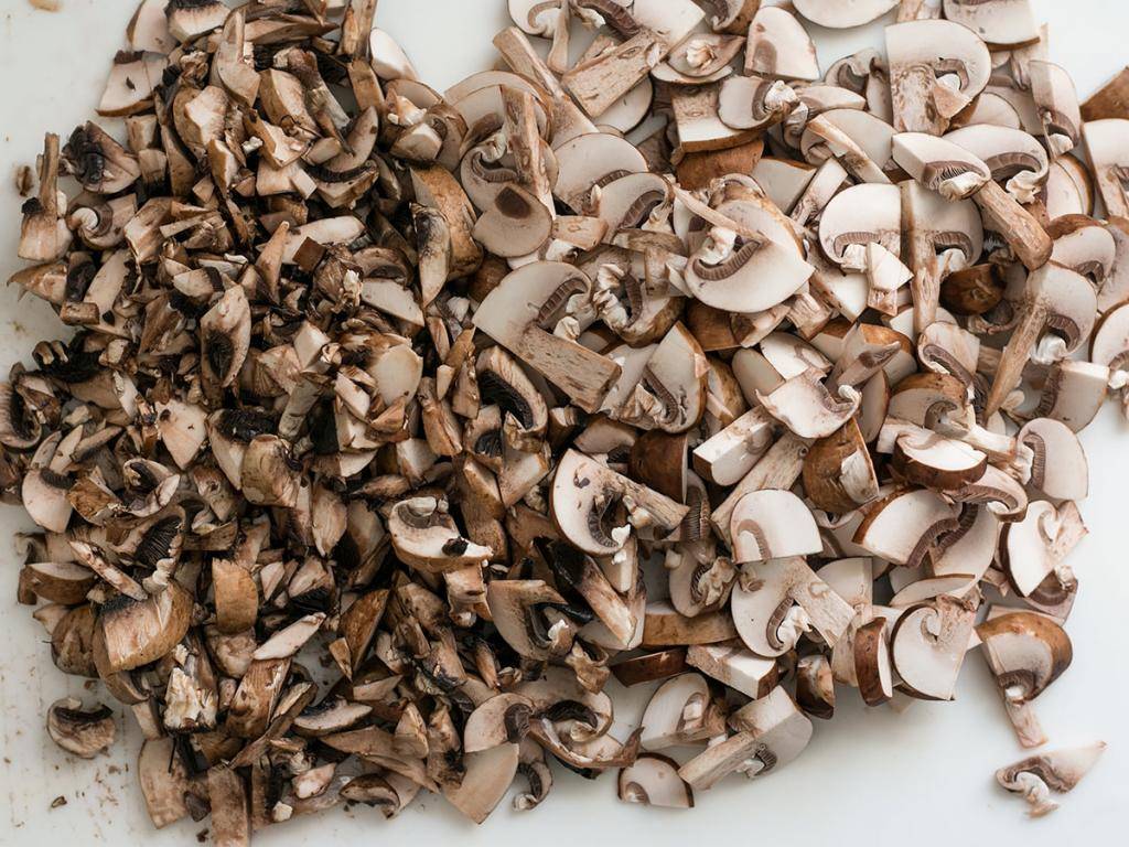 Как правильно сушить грибы в домашних условиях