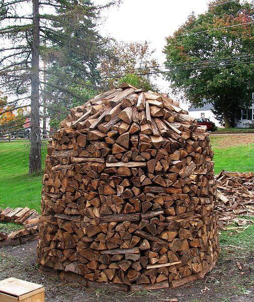 Что такое влажность дров? как правильно сложить, хранить и сушить дрова (древесину).