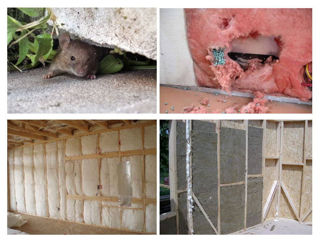 Сетка от грызунов в каркасном доме: как защитить постройку от вредителей