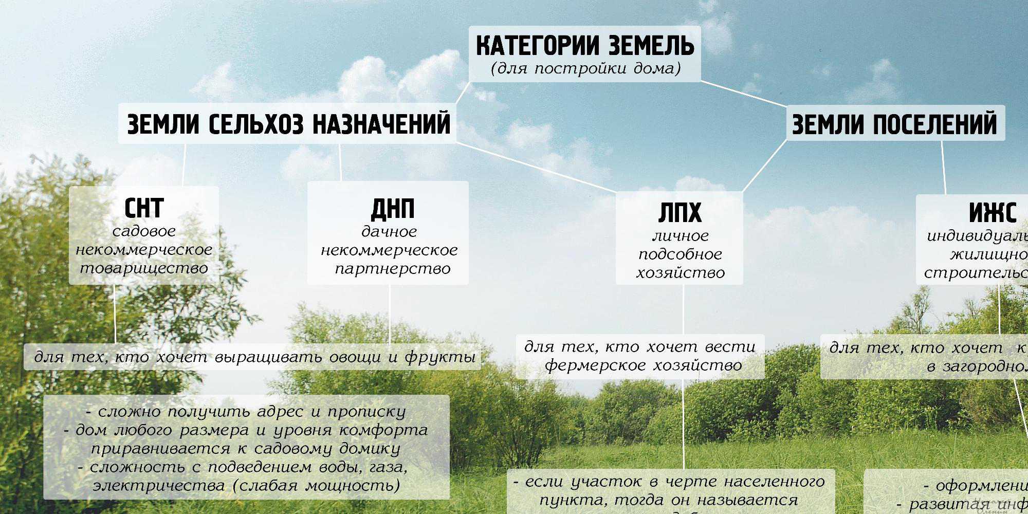 Принципы планировки дачного участка (75+ фото идей) +отзывы