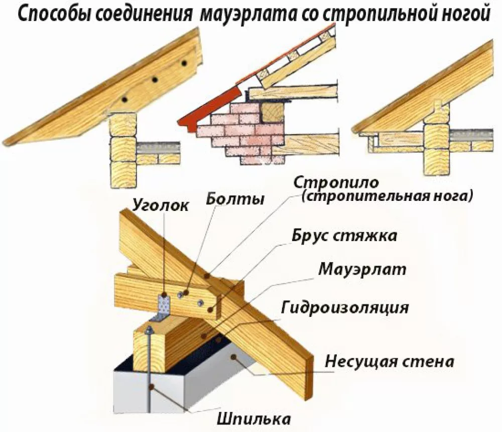 Схема устройство мауэрлата