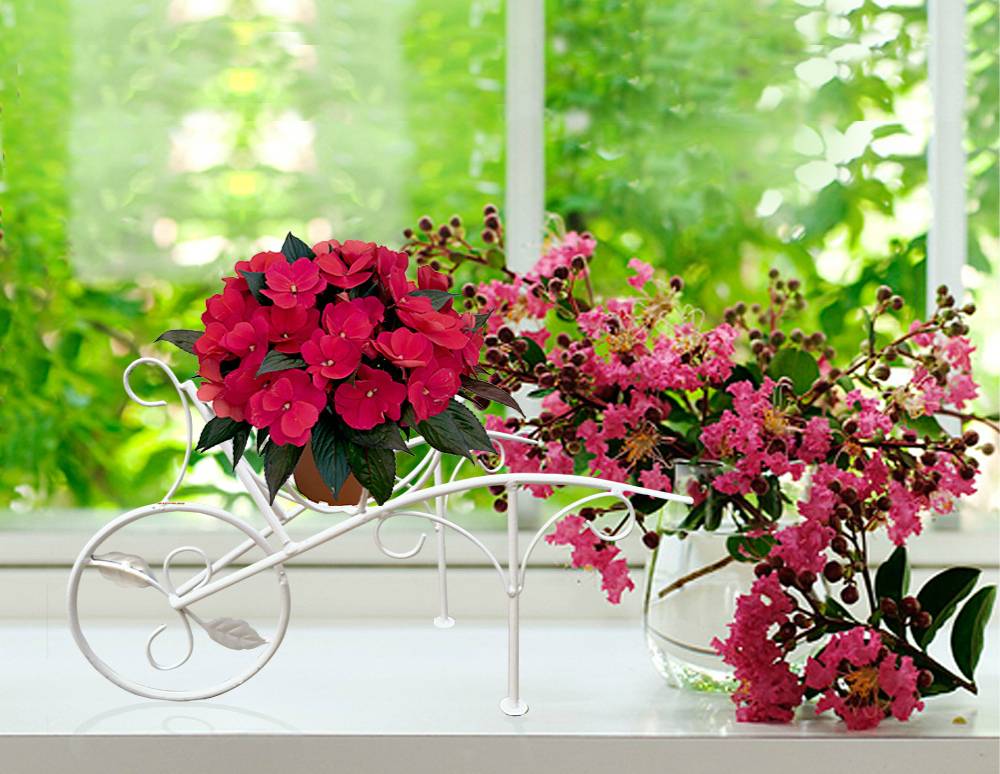 Самые неприхотливые комнатные цветы с фото цветущих растений для офиса и квартиры