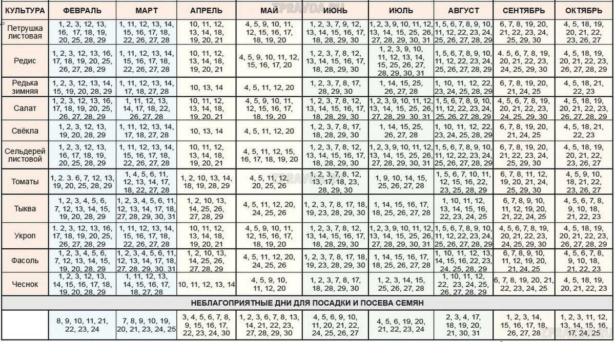 Лунный календарь посева семян на 2022 год для сибири и урала: таблица посадок по месяцам
