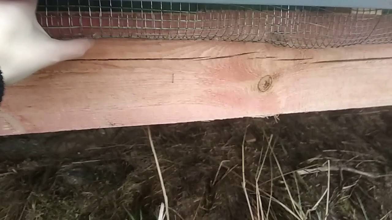 Сетка от мышей в каркасном доме: как защитить при строительстве