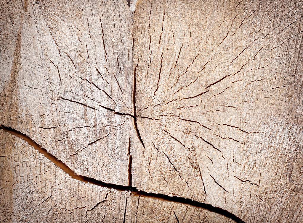 Заделка щелей в деревянном полу – 10 вариантов и способов
