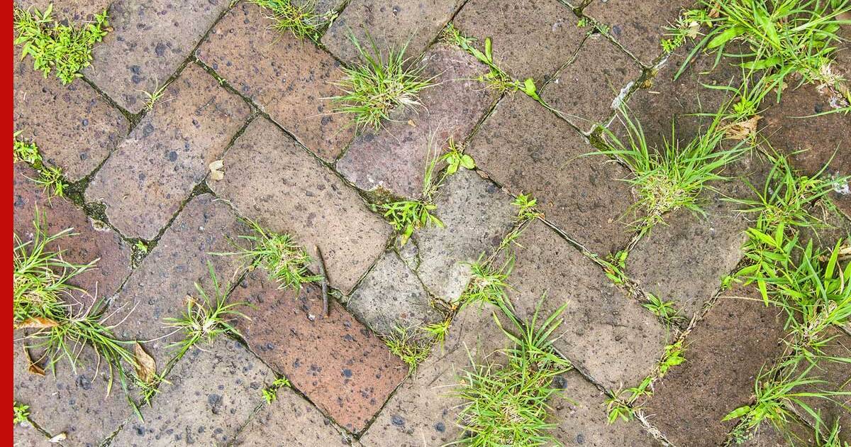 Подложка под тротуарную плитку – как и из чего лучше ее делать