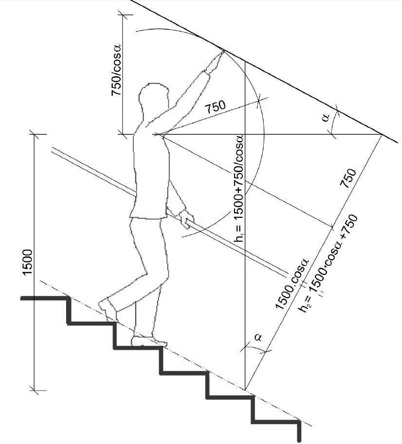 Строим лестницу в подвал в частном доме: видео, схема и фото