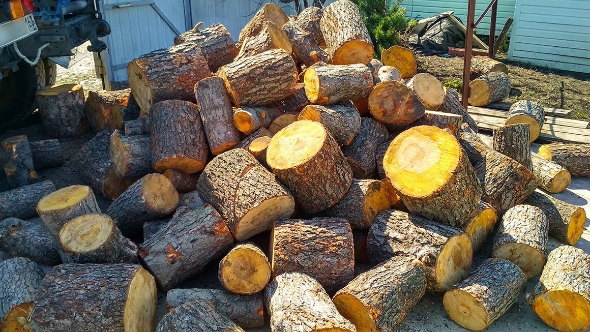 Какие из видов дров самые жаркие: какие лучше применять для отопления, а какие для бани
