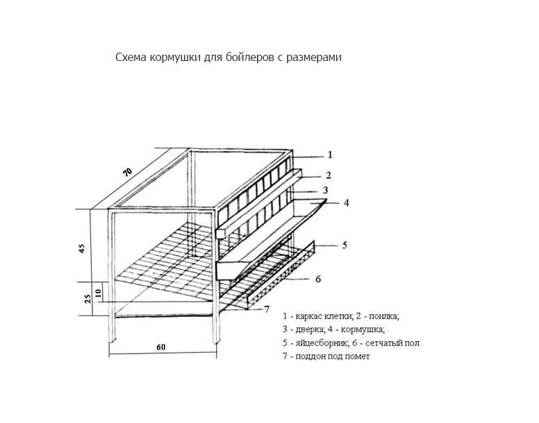 Чертеж вольера для птиц