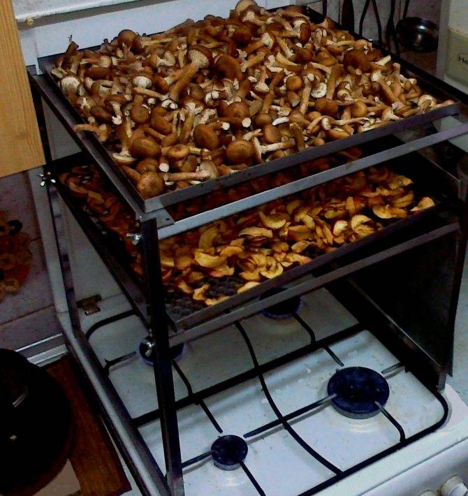 Как правильно сушить грибы в печи