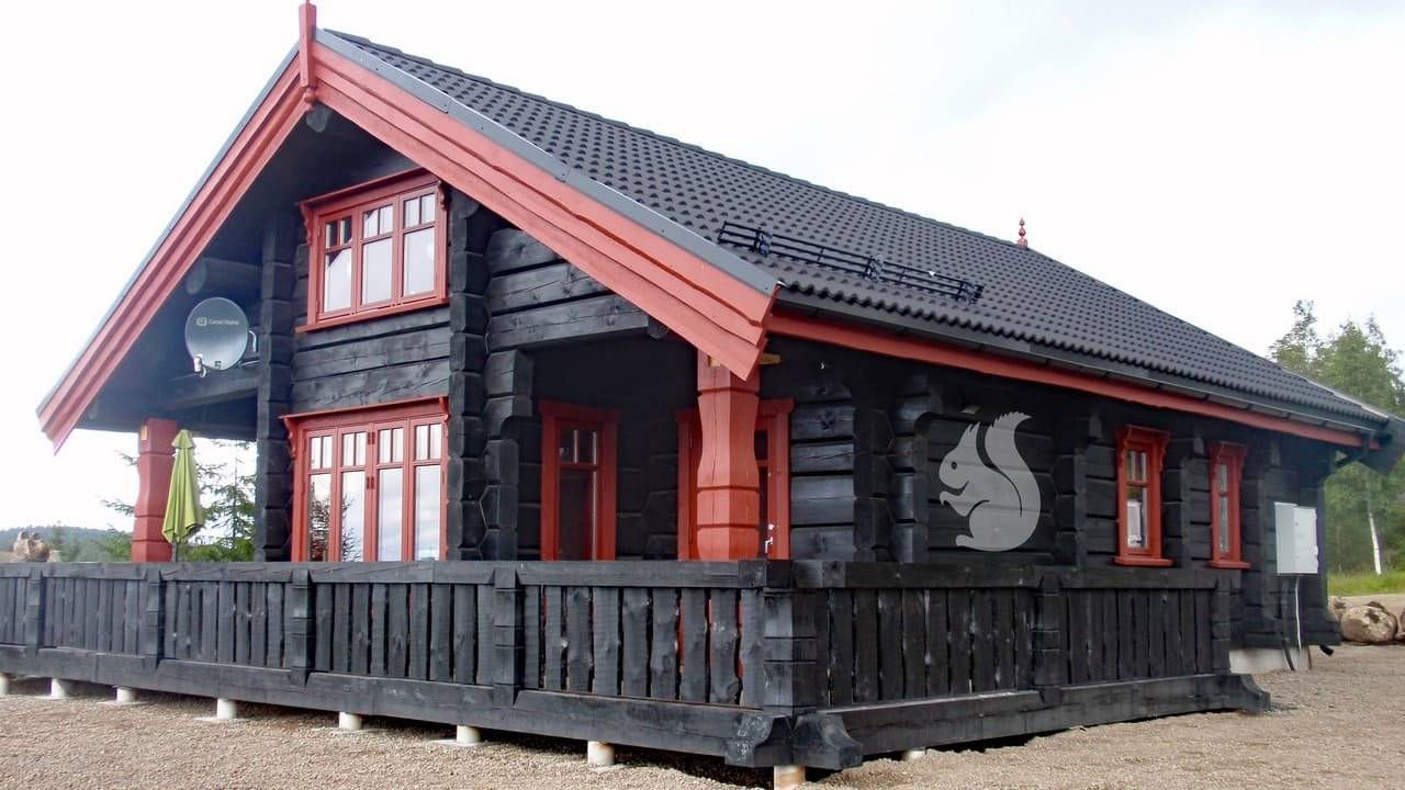 Норвежские дома из лафета + проекты