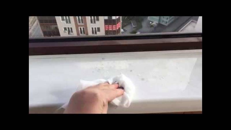 Простые средства: чем чистить пластиковые окна и подоконники? - журнал mailtrain.ru