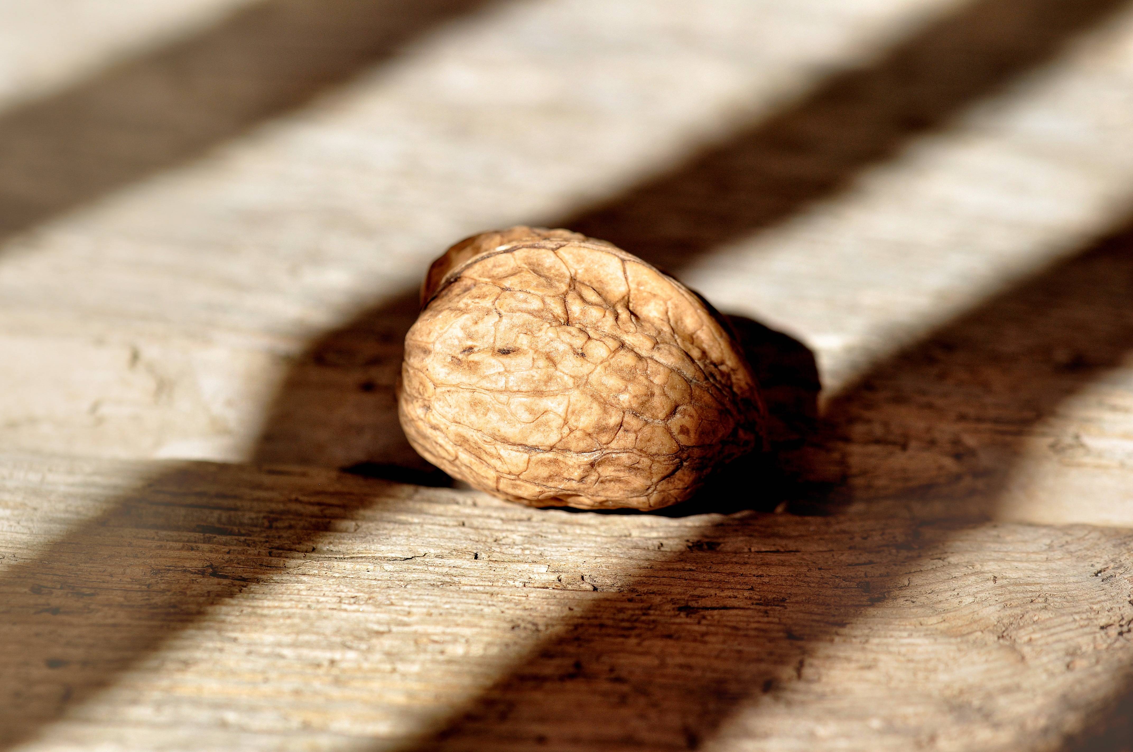 Как и где растет грецкий орех? особенности, страны и интересные факты