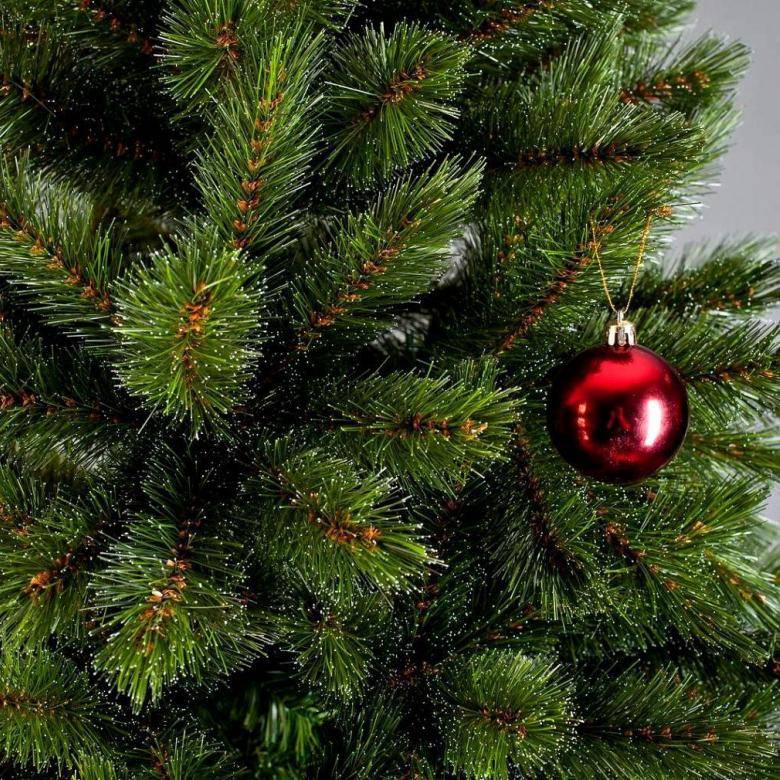 Живая или искусственная: какую купить елку к новому году, какая лучше и дешевле