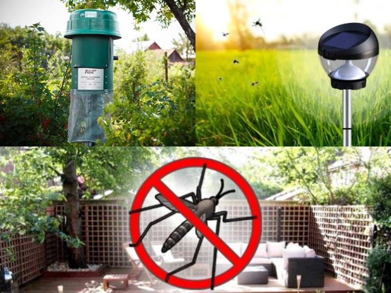 Как избавиться от комаров на дачном участке: 5 проверенных средств