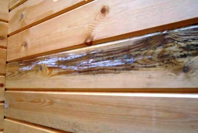 Как избавиться от плесени на древесине: подручные средства и специальные растворы