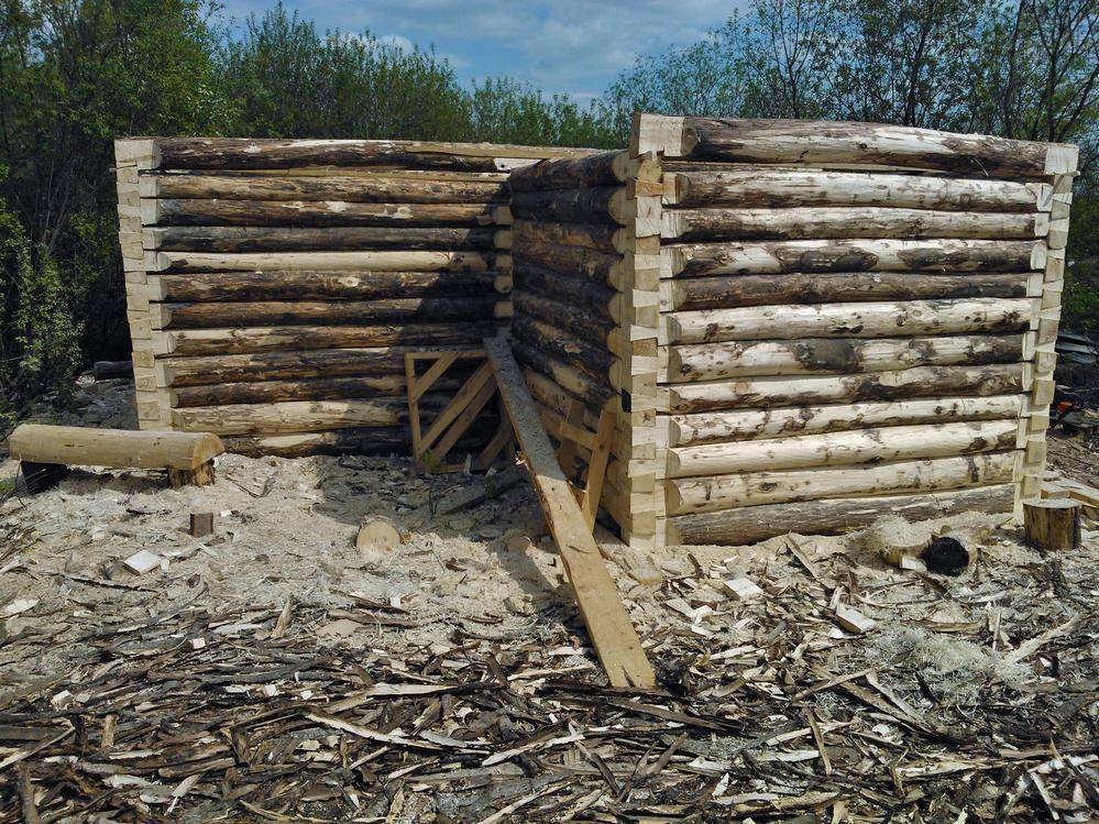 Осина для бани: строительство и характеристики древесины