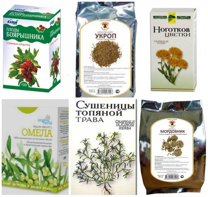 Какие травы повышают давление — список растений — med-anketa.ru