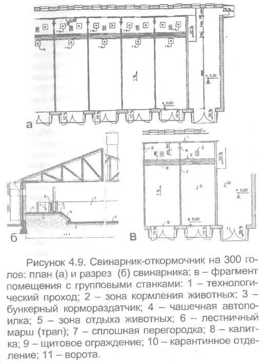 Проект свинарника на 100 голов с размерами