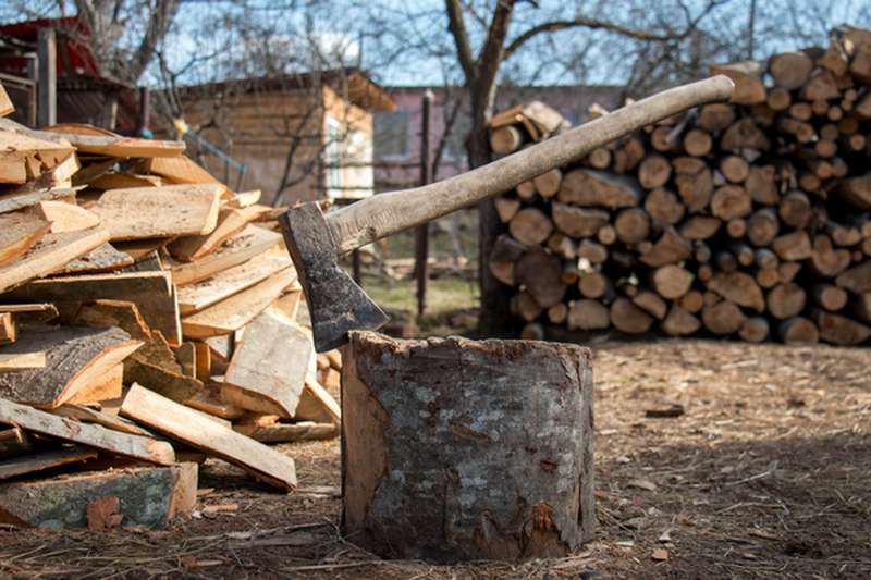 Сколько сохнут колотые дрова разных пород
